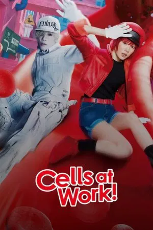 Cells at Work! - Poster
